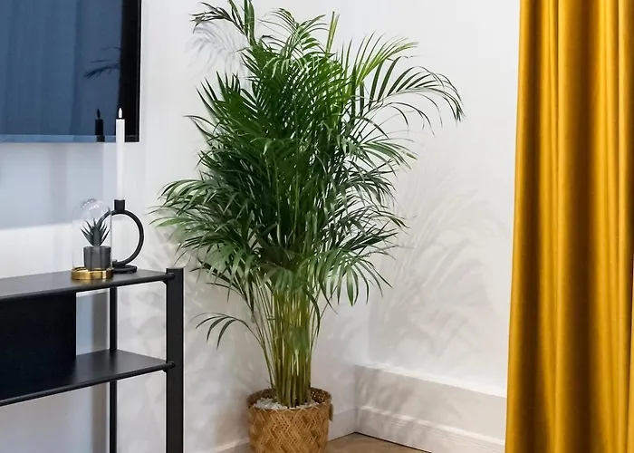 Around The World 4br - Center