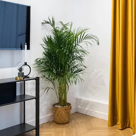 Around The World 4br - Center